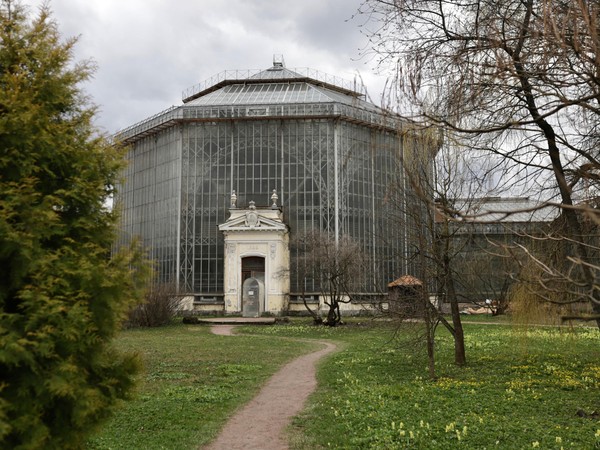 Экскурсия по ботаническому саду Петра Великого с посещением викторной оранжереи