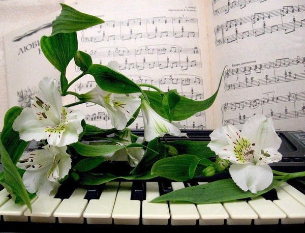 «Песни от всей души» отчетный концерт Малаховского хора «Поющие сердца»