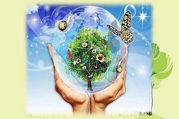 Экологический час «Путешествие в мир природы»