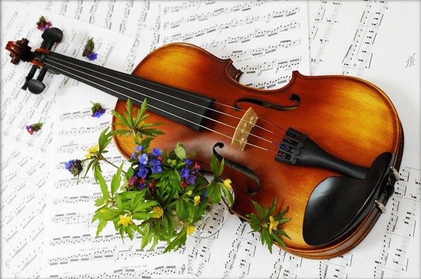 Мастер-класс «Чарующие звуки скрипки»