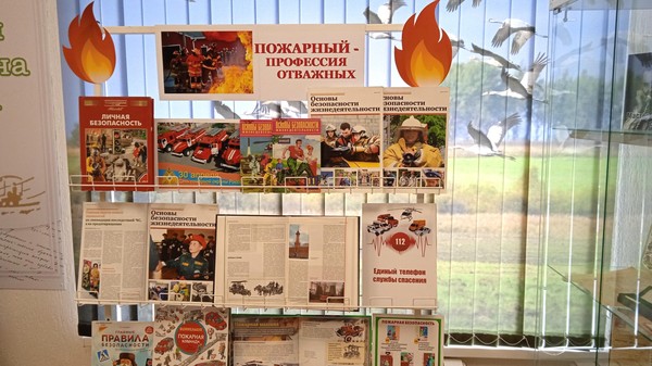 Книжно-иллюстративная экспозиция «Пожарный – профессия отважных»