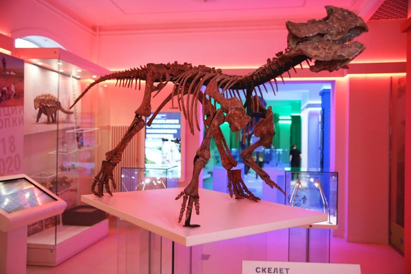 Экскурсия «Динозавровая фауна Кузбасса»