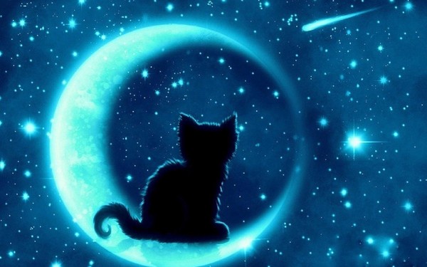 Полнокупольная программа «Путеводные звёзды & Кошки Китц: СуперЛунное приключение»