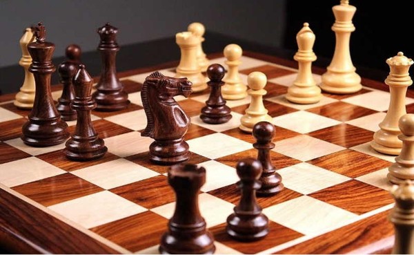 Занятие шахматного клуба «Ферзь» для Жизнелюбов