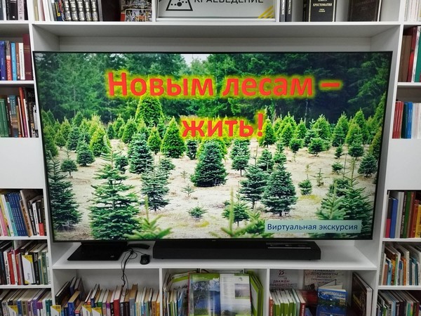 Виртуальная экскурсия «Новым лесам жить!»