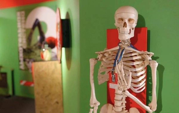 Научно-познавательная экспозиция «Про тело человека»