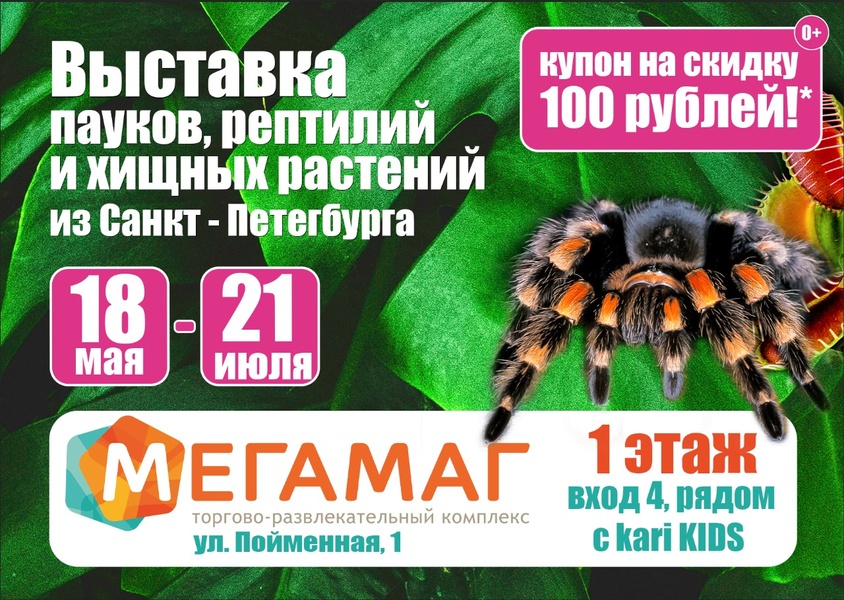 Выставка пауков из Санкт-Петербурга