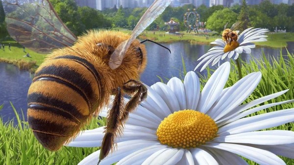 Тематическая программа «У пчелы забот немало!»
