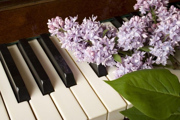 Концерт «Весна на клавишах рояля»
