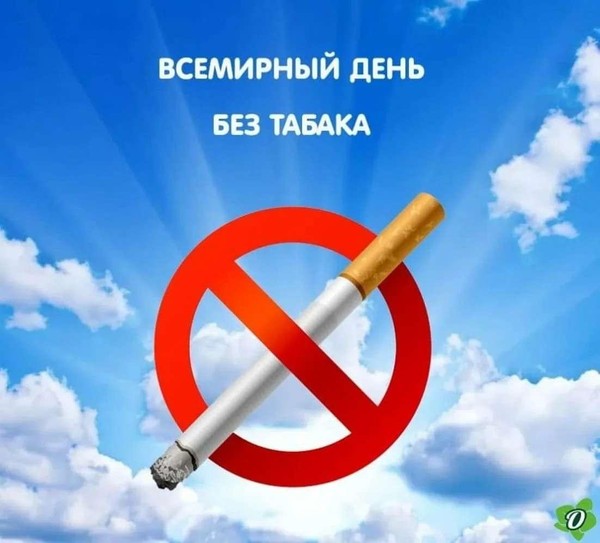 «Безвредных сигарет не бывает»