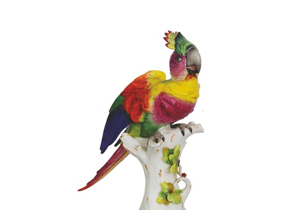 Выставка «100 попугаев»