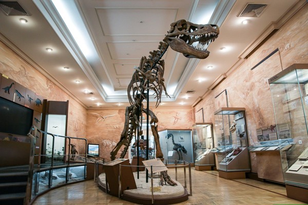 Тематическая экскурсия «Палеонтологическая прогулка: динозавры и Ко»