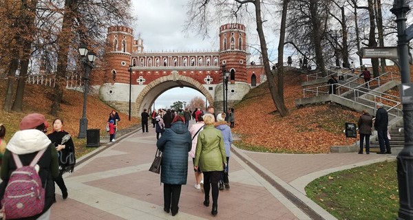 Царское Царицыно (пешеходная экскурсия в Царицыно с посещение дворца)      