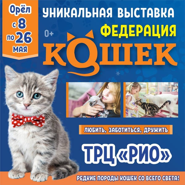 эксклюзивная выставка кошек Федерация Кошек