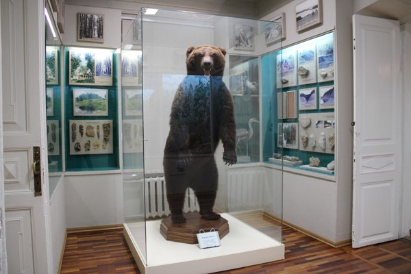 Экспозиция «Природа и история Вологодского края»