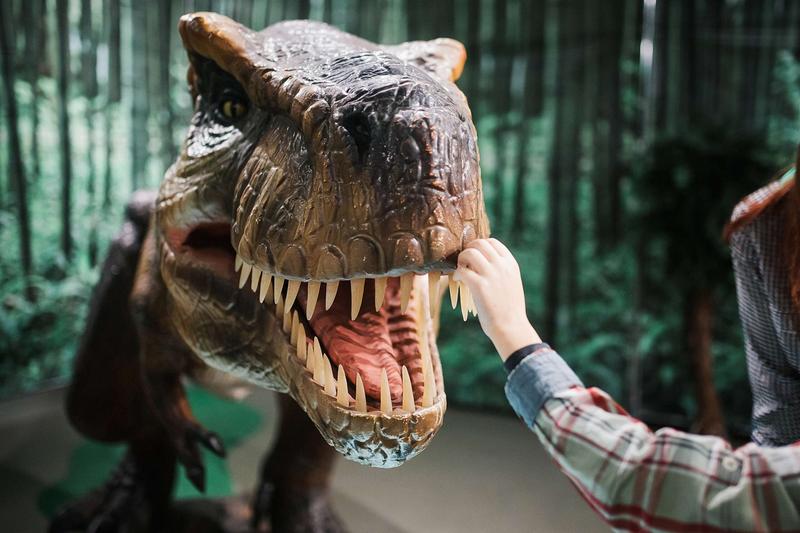 Нашествие динозавров. Интерактивный парк развлечений. Динолэнд 13 июня 2024 г.
