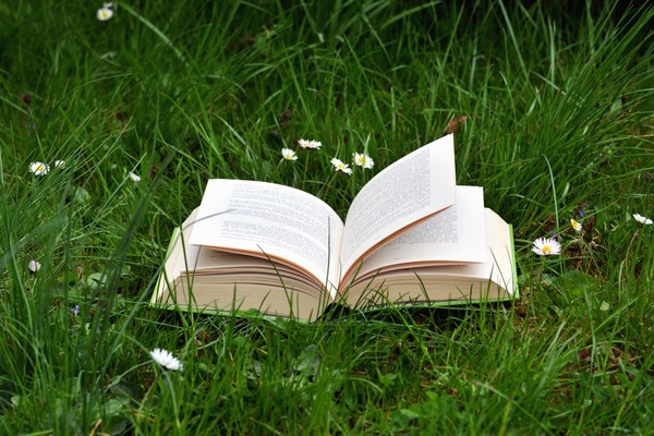 «С книжкой на лужайке» Летний читальный зал