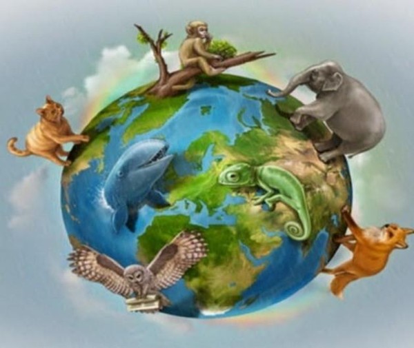 Книжный обзор «Мы все соседи по планете»