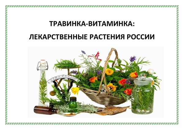 Выставка–просмотр«Травинка–витаминка:лекарственные растения России»