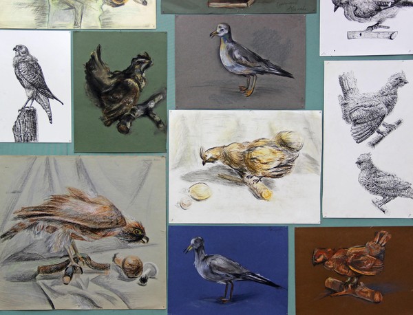 Выставка «Зарисовка птицы»
