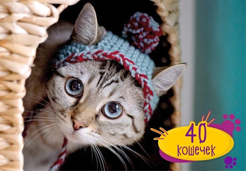 выставка котиков и кошек Страна Мурляндия 5 июня 2024 г.