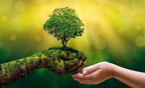Экологическая карусель «С природой в мире будем жить»