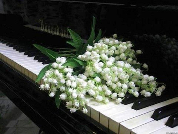 Отчетный концерт фортепианного отделения «Музыка – часть меня и моей семьи»