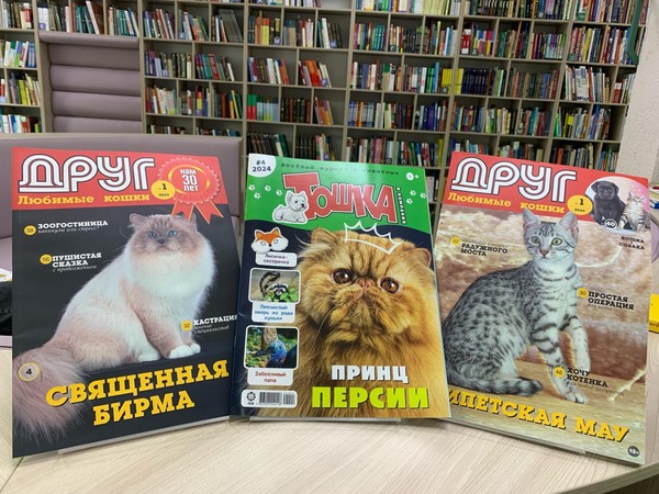 Литературная игра «Знакомьтесь, кот»