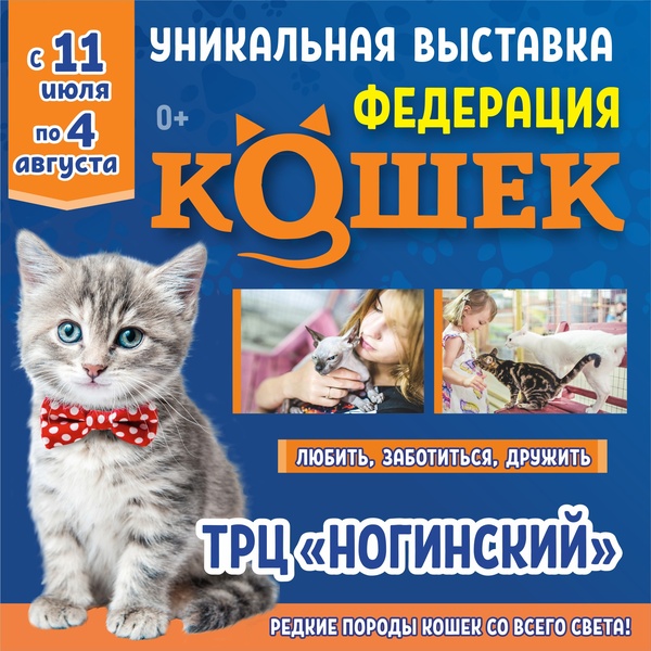 выставка "Федерация кошек"