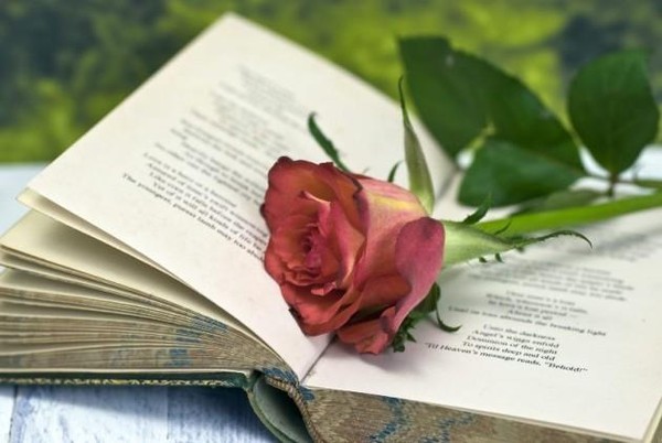 Литературный час «Поэзия любви»