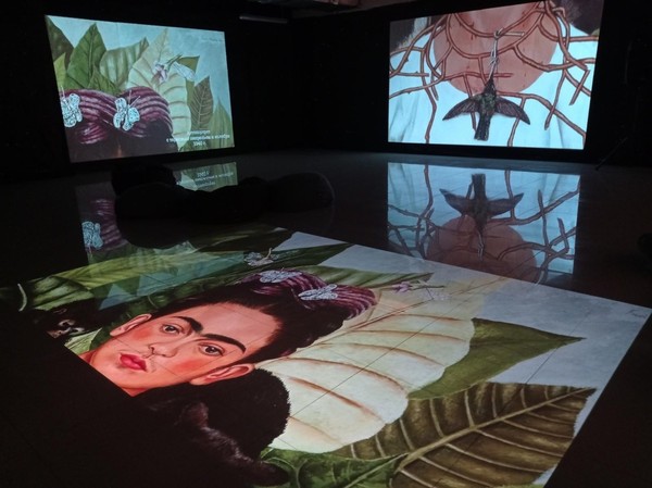 Мультимедийная выставка «Фрида Кало»