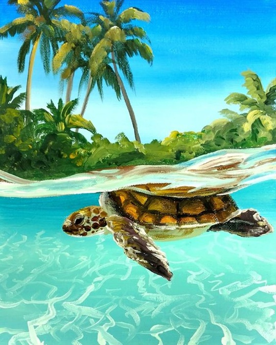 Мастер-класс "Морская черепаха", масло 17 июля 2024 г.