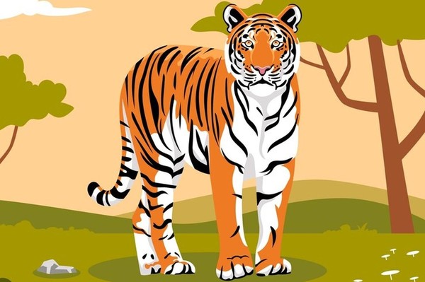 Развивающее занятие «Внимание! Тигры»