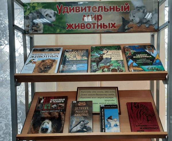 Книжная выставка «Удивительный мир животных»