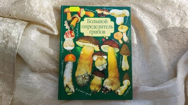 Выставка одной книги «Большой определитель грибов»