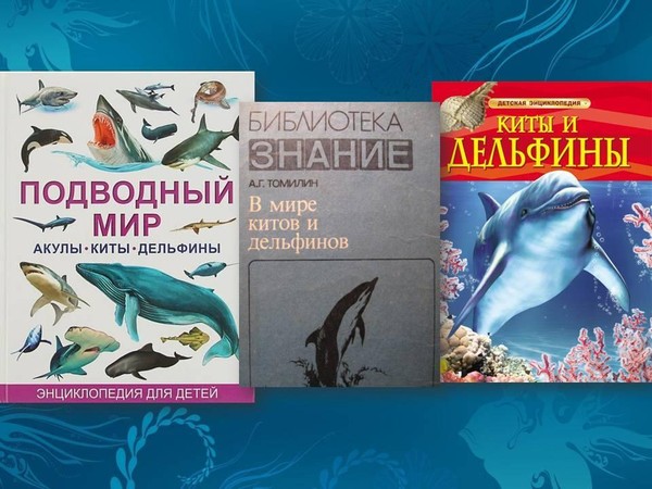 «Мир китов и дельфинов» обзор книг