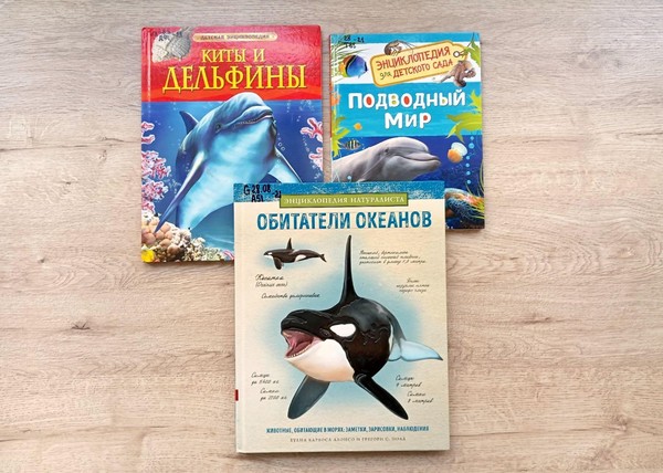 Познавательный час «День китов и дельфинов»