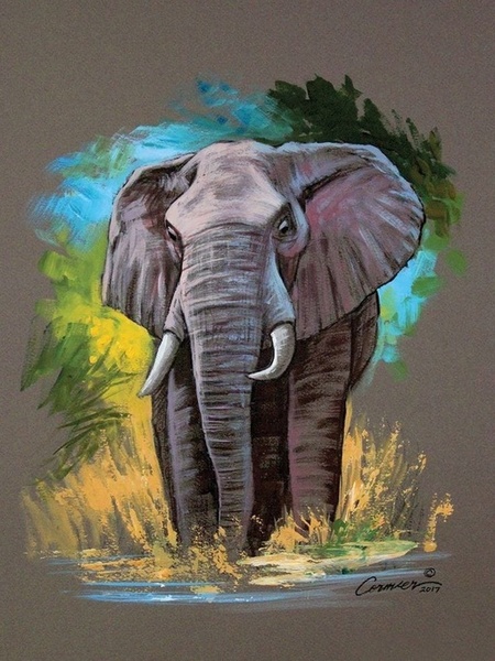 Мастер-класс "Слон", пастель