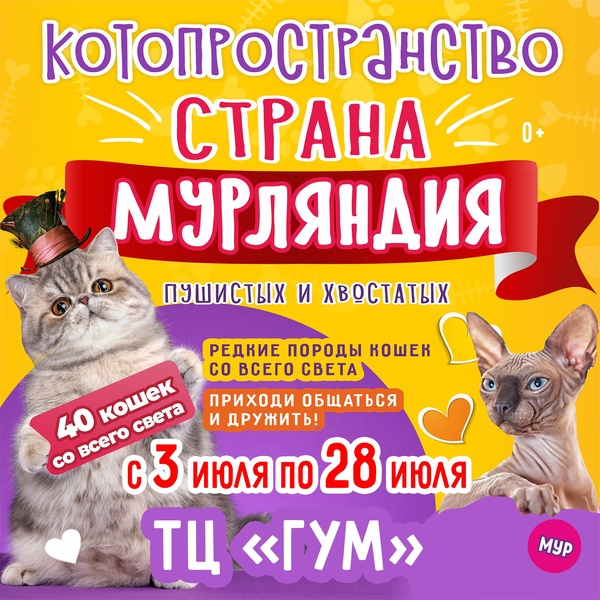 выставка кошек  «Страна Мурляндия»