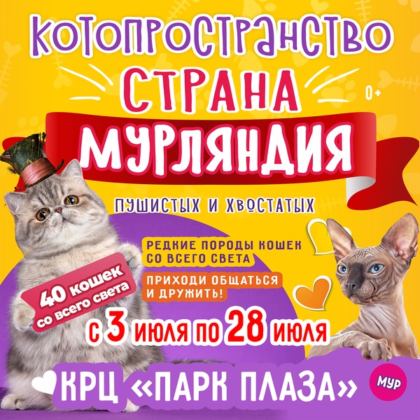 Выставка кошек "Мурляндия"