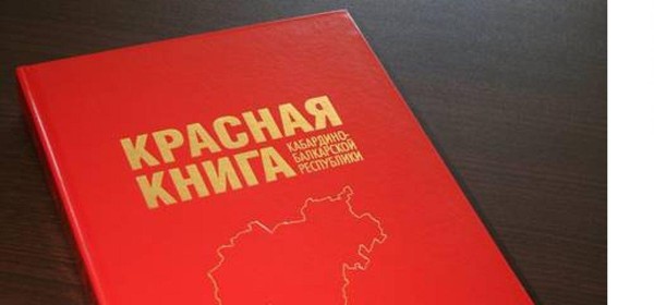 Тематическая выставка «По следам Красной книги КБР»