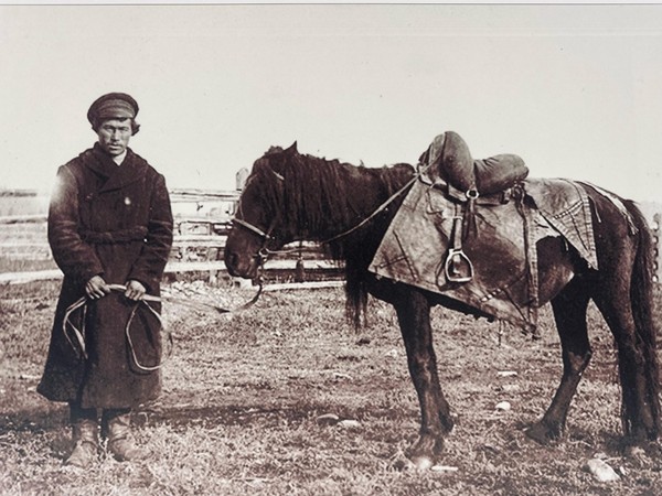 Выставка «Человек и конь: история дружбы»