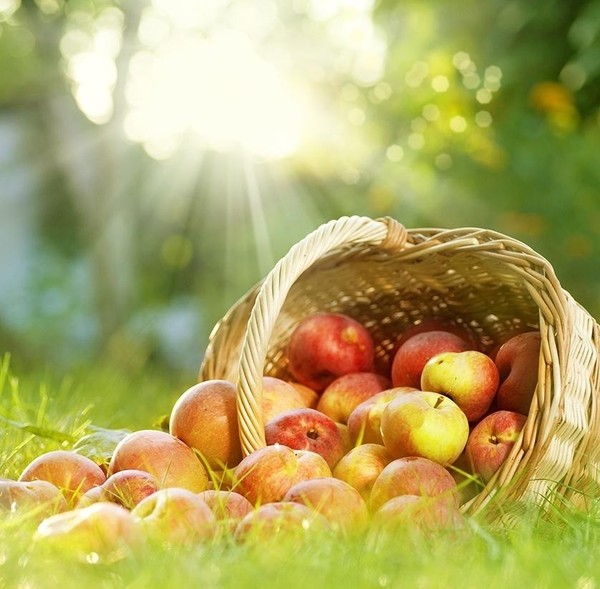Игровая программа «Солнечный праздник – Яблочный спас!»