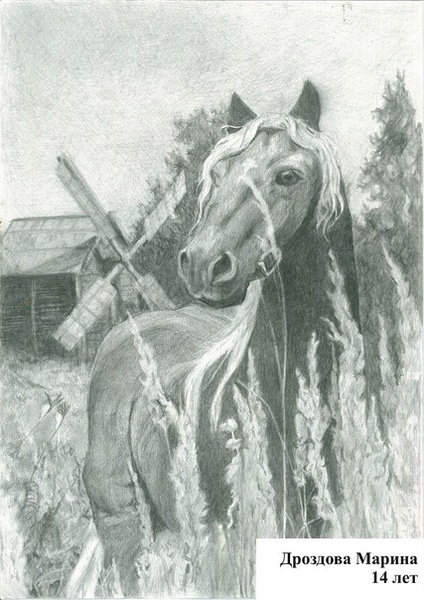 XIХ открытый конкурс детско-юношеского творчества «Штрихи к портрету лошади»