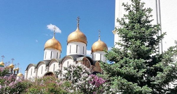 Сердце Москвы — Кремль (экскурсия по Александровскому саду и территория Кремля с одним собором)