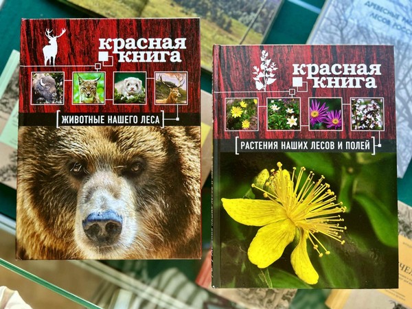 Выставка «Открытая книга леса»