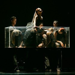«Рыба» Театр танца нОга