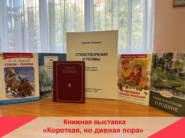 Книжно-иллюстративная выставка «Короткая, но дивная пора»