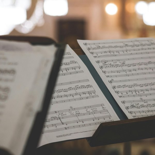 Программа «Концерт классической музыки»