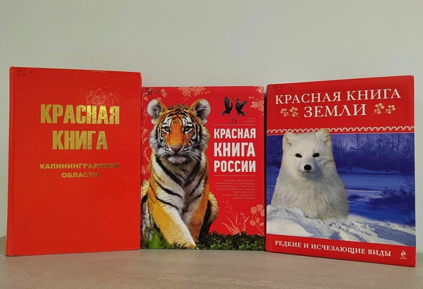 Познавательный час «Листая страницы Красной книги»